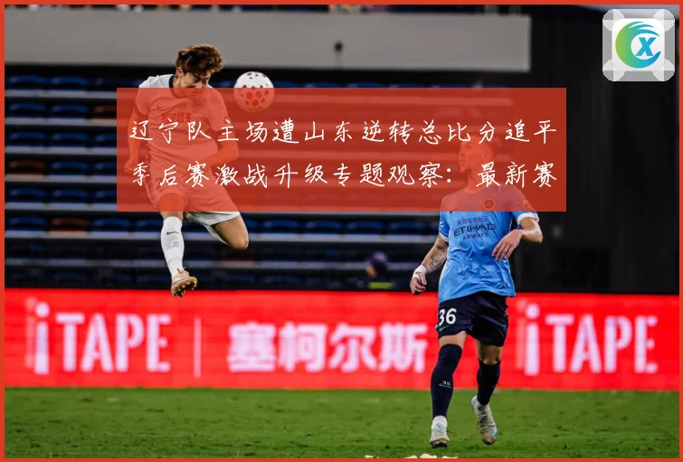 辽宁队主场遭山东逆转总比分追平季后赛激战升级专题观察：最新赛事动态与深度分析